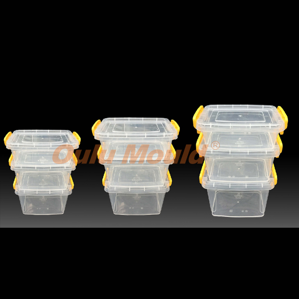 thin wall mould 20